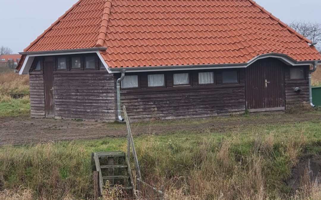 Dach des Schuppens auf dem BVO-Gelände erneuert
